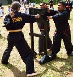 Students applying methodology in Sindo